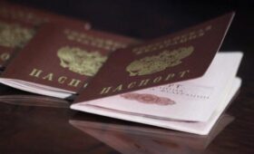 Депутат Панеш: россияне смогут поставить в паспорте отметку ИД ЕРН с 2026 года