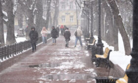 До 3 см снега может выпасть в Москве в ночь на 29 декабря