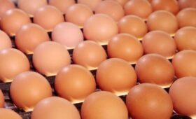 Эксперт Анфиногенов: приостановка поставок яиц «Волжанин» не вызовет сильного роста цен