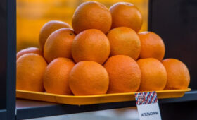Цены на апельсины в мире упали до рекордного минимума с лета 2022 года