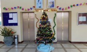 В Госдуме предложили отменить штрафы за украшение подъезда дома