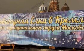 Главную новогоднюю ель России привезли в Кремль