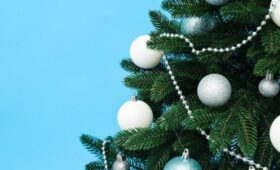 В РФ минимальная цена на искусственные елки снизилась почти в 2 раза в 2025 году