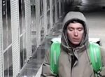 В Новосибирске задержан курьер, подозреваемый в избиении женщины