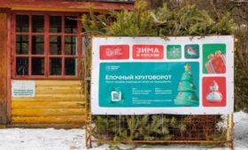 Пункты акции «Елочный круговорот» начнут работу в столице 2 января