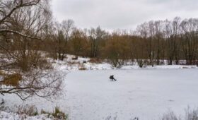 Спасатели усилили патрулирование рек и водоемов Москвы