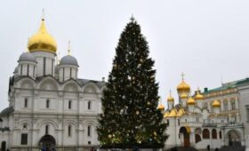 Главную новогоднюю елку страны привезут в Кремль 10 декабря