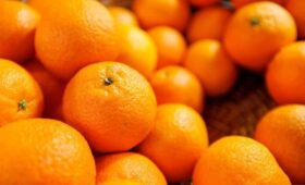 Диетолог Соломатина: не рекомендуется употреблять больше 1–2 мандаринов за раз