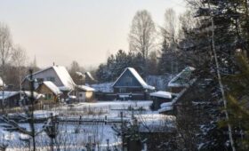 Депутат Чаплин: при покупке дачи зимой можно не заметить скрытые проблемы