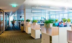 Помещение для бизнеса выставлено на торги в Солнцеве