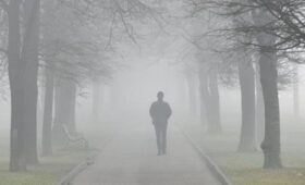 Туман накроет столичный регион почти на сутки