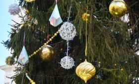 Лесничему, который нашел главную ель России, подарят автомобиль