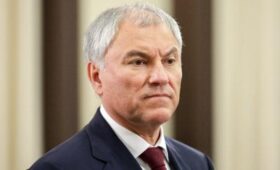 Володин призвал сделать бесплатными услуги в электронных дневниках