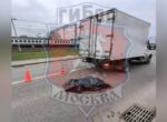 Водитель автомобиля Ford сбил насмерть ребенка в ТиНАО
