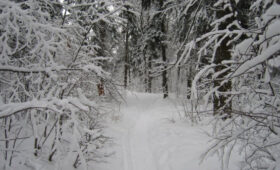 Самая низкая температура на Земле была зафиксирована в Якутии