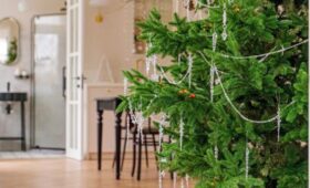 Daily Express: иголки с живой елки могут повредить фильтр пылесоса при домашней уборке