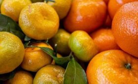 Нутрициолог Попова: взрослому человеку можно не более четырех мандаринов в день