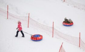Академик РАН Онищенко предложил запретить россиянам кататься на «ватрушках»