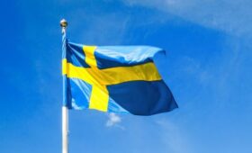 Неонацистский марш прошел в Швеции