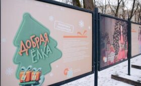 Фотовыставка «Добрая елка» открылась на Рождественском бульваре и в парке «Фили»