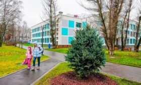 Более 1,4 тыс деревьев высадят на территориях обновленных школ Москвы