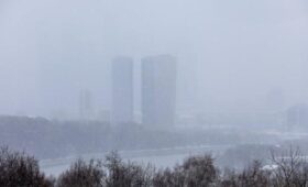 Небольшой снег и до 6 градусов мороза ожидаются в Москве 15 декабря