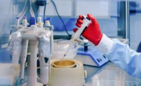 ВОЗ отметила быстрое распространение вируса гриппа H3N2