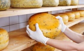 Россия впервые ввезла сыр из Китая