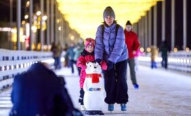 Работу катков в музее-заповеднике «Коломенское» продлят в ночь на 1 января