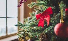 Эксперт Шапкин: вернуть искусственную елку в магазин можно в течение 14 дней