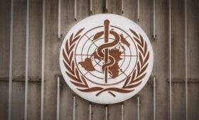 ВОЗ назвала гонконгский грипп доминирующим штаммом в РФ