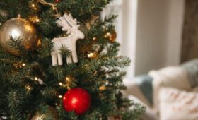 Офтальмолог Нозина: статичный режим гирлянд позволит уберечь зрение