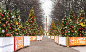 Депздрав столицы сообщил об отсутствии обращений по «елочным» клещам