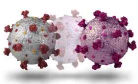 Эксперт Сапронов: появление нового штамма оспы обезьян не является новостью