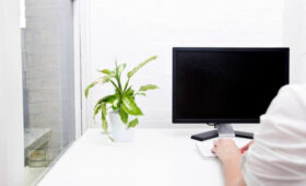 Юрист Салкин: за украшение рабочего места цветами грозит дисциплинарная ответственность