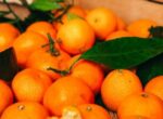 Роскачество: при выборе мандаринов стоит обращать внимание на их кожуру и вес