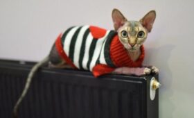 Температуру в батареях столичных квартир повысили из-за похолодания