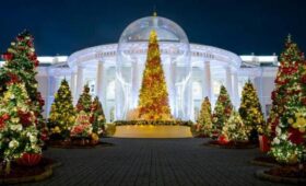 Московские поликлиники и больницы начали украшать к Новому году