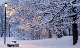 Синоптик Позднякова: снежный покров в Москве достигнет 10 см в новогодние праздники