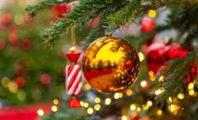 В Роскачестве рекомендовали не наряжать бубликами и пряниками новогоднюю ель