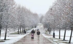 В Московском регионе образовался первый снежный покров в декабре