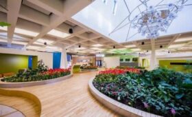 В «Биокластере» на ВДНХ открылась выставка Сурена Айвазяна «Цветы и травы»