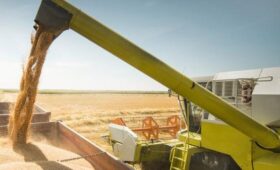 Кабмин утвердил нацпроект «Технологическое обеспечение биоэкономики»