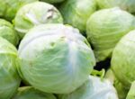 «Руспродсоюз»: капуста стала самым подешевевшим продуктом в РФ в январе