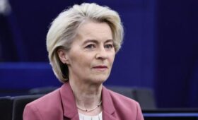 Посол РФ Долгов поинтересовался у главы ЕК фон дер Ляйен о числе ее дивизий