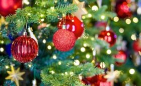 Экологично утилизировать новогодние елки поможет сервис «Вывоз ненужных вещей»