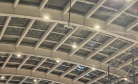 Прокуратура проверит информацию о гибели птиц в сетках ТРЦ «Авиапарк»