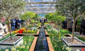 Выставка «Репетиция весны» откроется в Ботаническом саду МГУ в феврале