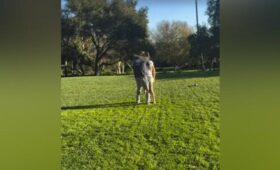 Принц Гарри положил руку на ягодицы Меган Маркл на публике