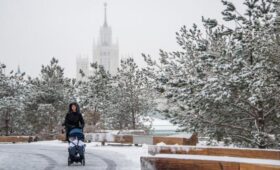 Депутат Стенякина: больничные на детей составят до 6,8 тыс руб в 2026 году